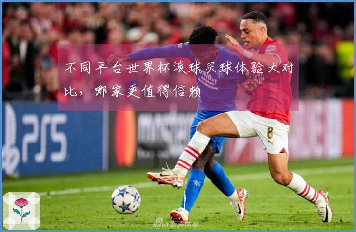 不同平台世界杯滚球买球体验大对比，哪家更值得信赖