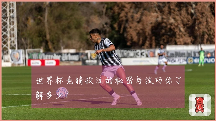 世界杯竞猜投注的秘密与技巧你了解多少？