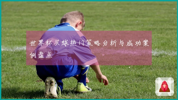 世界杯买球热门策略分析与成功案例盘点