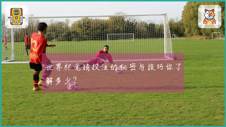 世界杯竞猜投注的秘密与技巧你了解多少？