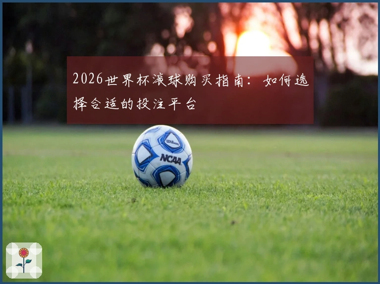 2026世界杯滚球购买指南：如何选择合适的投注平台